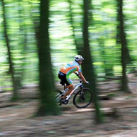 Chalet Op De Veluwe # Linde プッテン エクステリア 写真