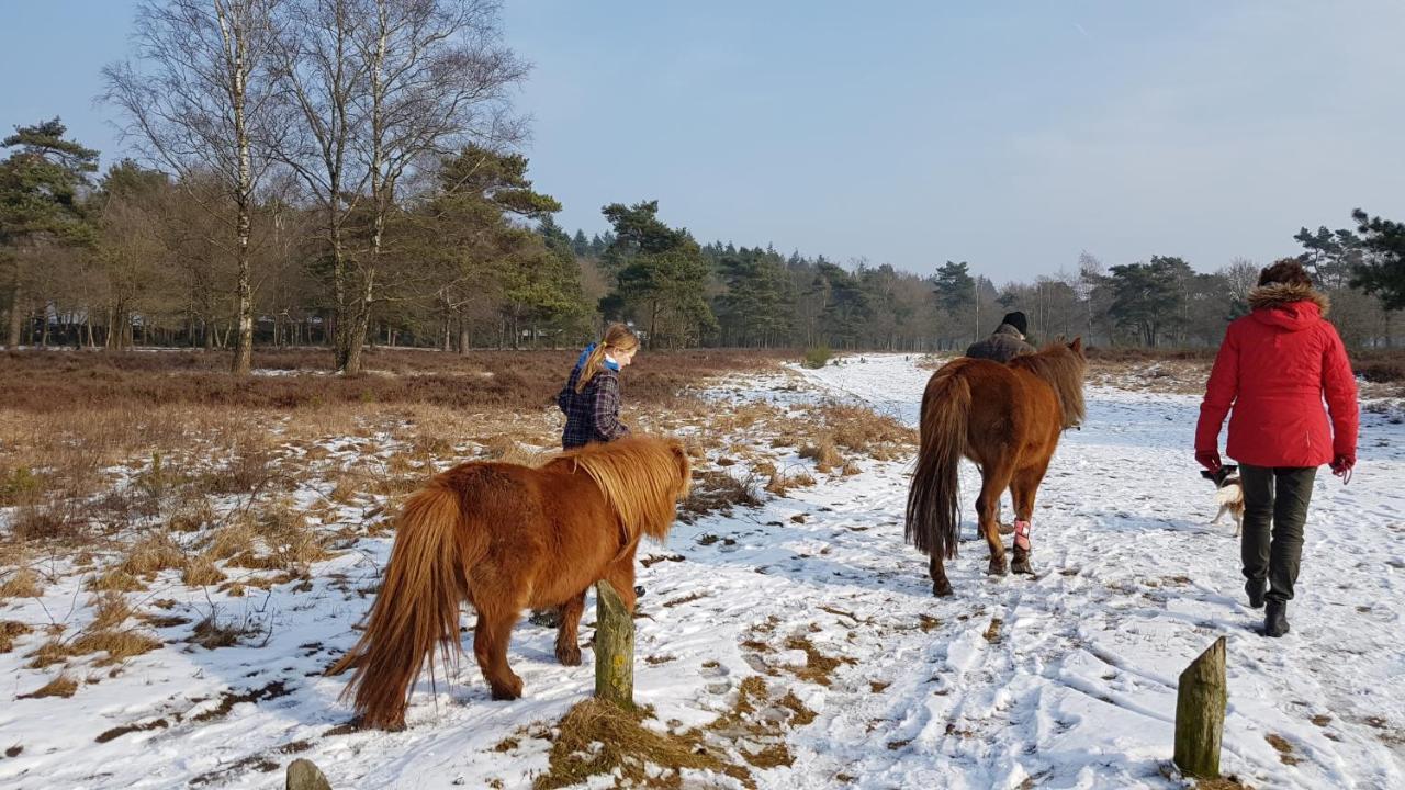 Chalet Op De Veluwe # Linde プッテン エクステリア 写真