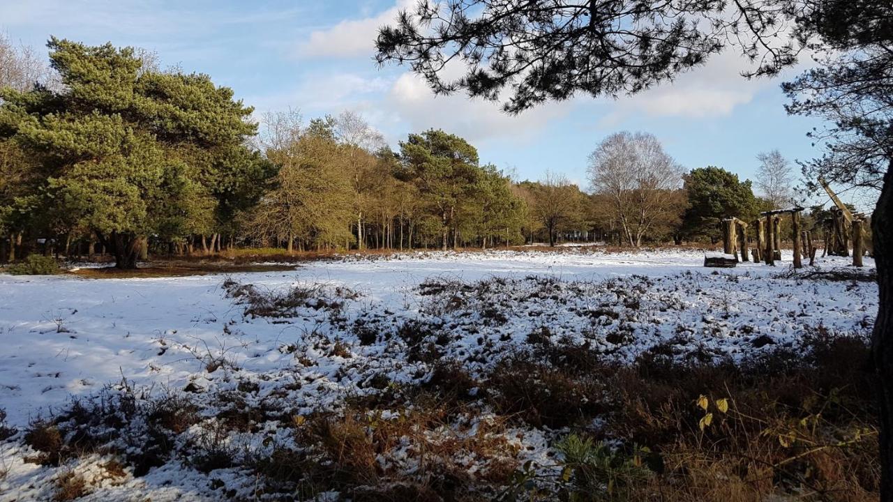 Chalet Op De Veluwe # Linde プッテン エクステリア 写真