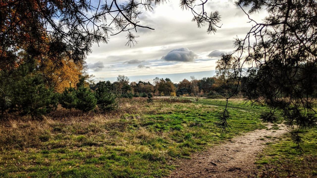Chalet Op De Veluwe # Linde プッテン エクステリア 写真