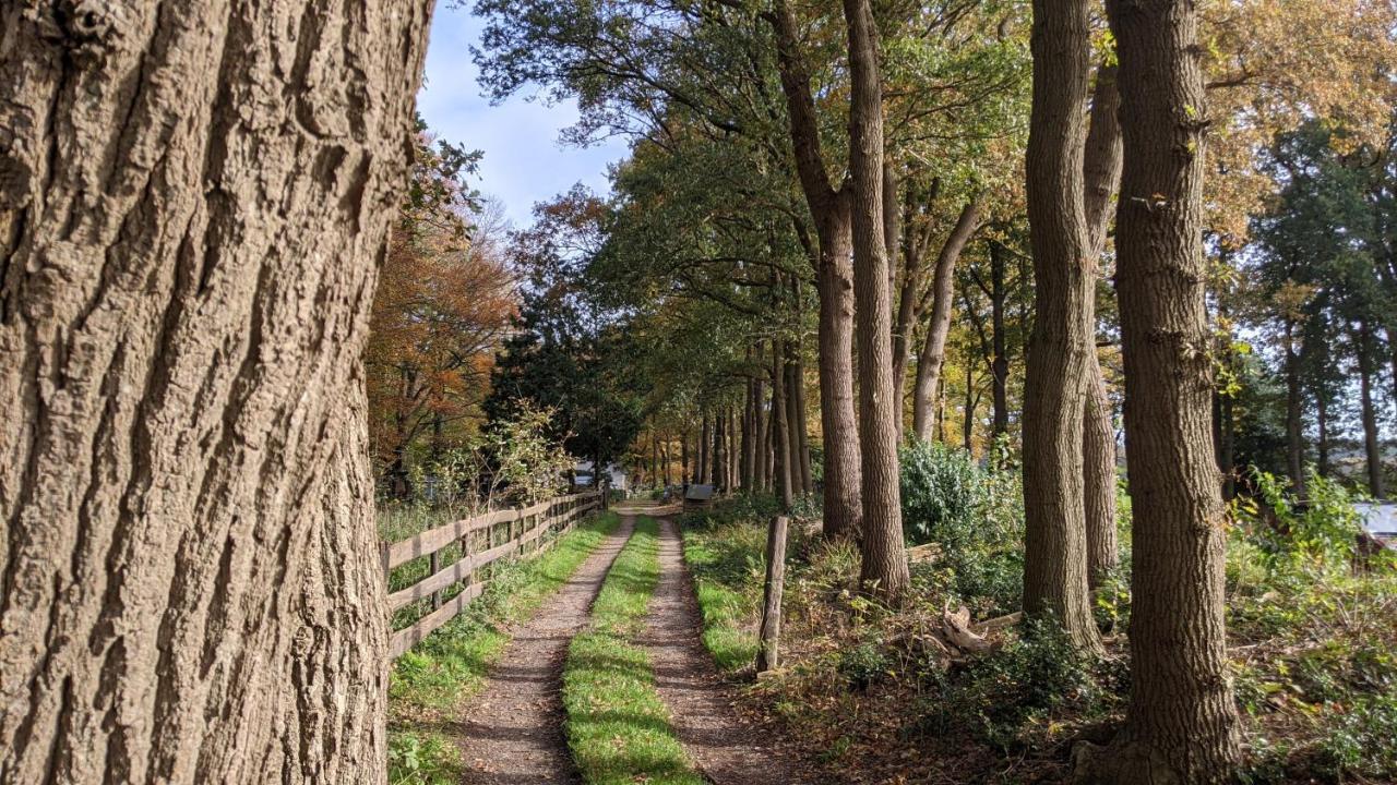 Chalet Op De Veluwe # Linde プッテン エクステリア 写真