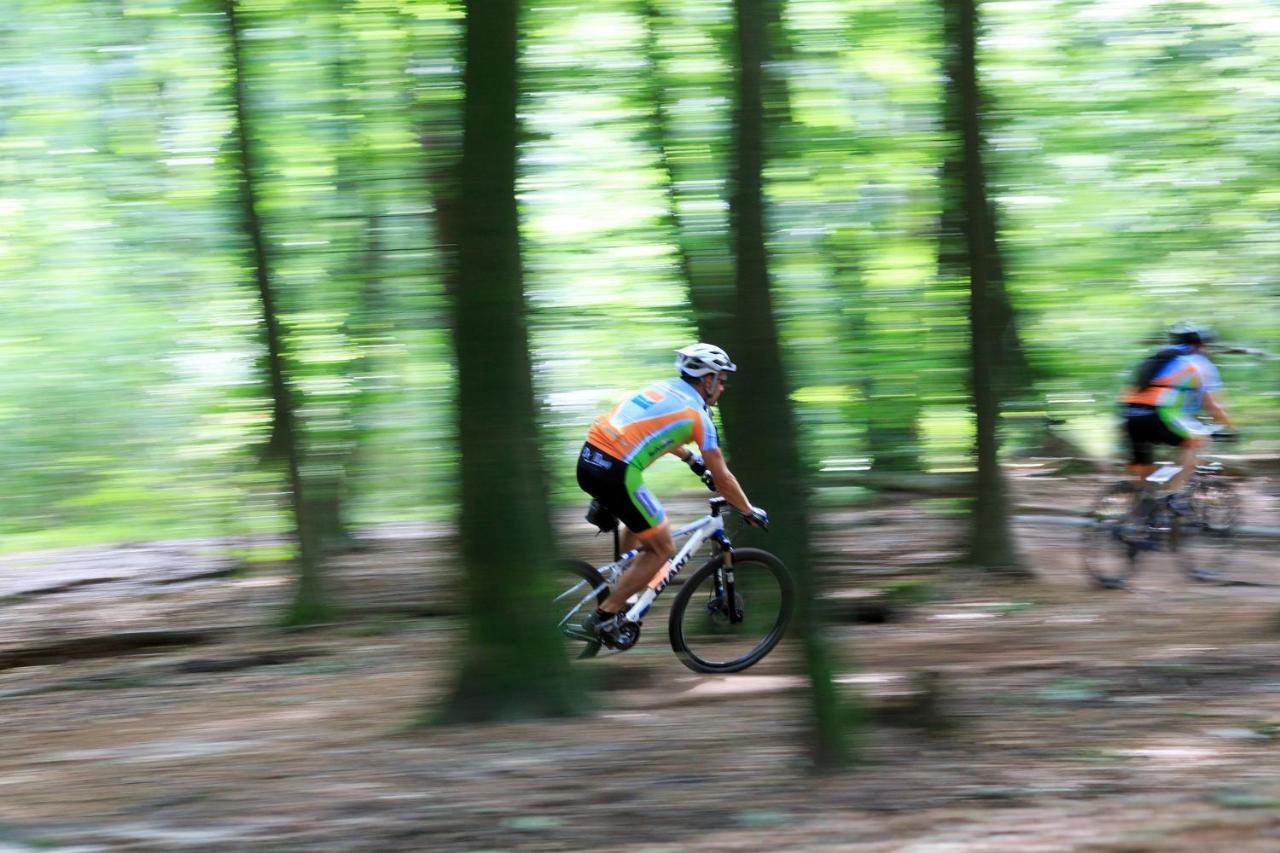 Chalet Op De Veluwe # Linde プッテン エクステリア 写真