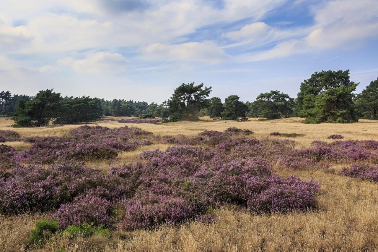 Chalet Op De Veluwe # Linde プッテン エクステリア 写真